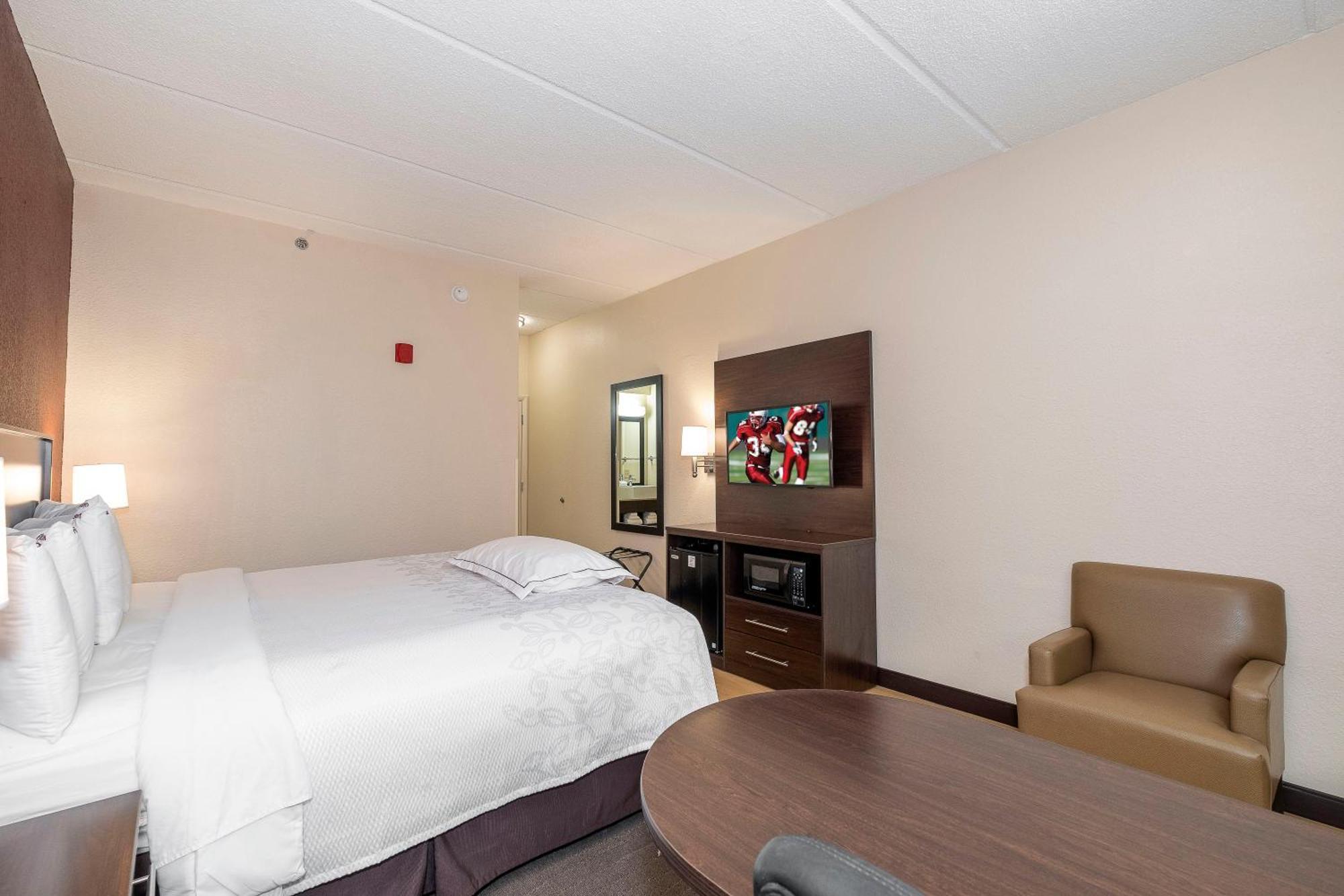 Premium King Room Smoke Upgraded Bedding Snack Box